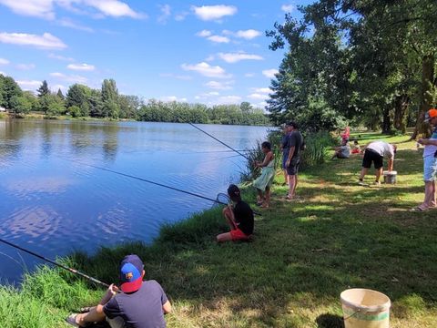 Camping Le Moulin Des Effres **** - Camping Deux-Sèvres - Image N°3